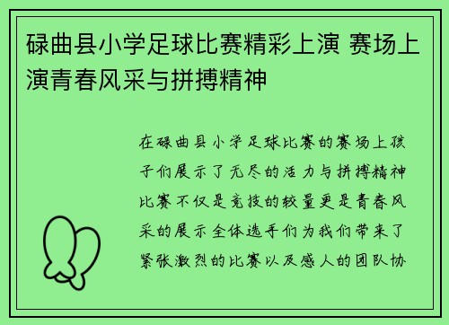 碌曲县小学足球比赛精彩上演 赛场上演青春风采与拼搏精神