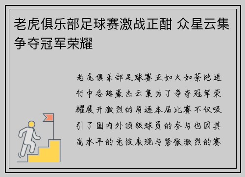 老虎俱乐部足球赛激战正酣 众星云集争夺冠军荣耀