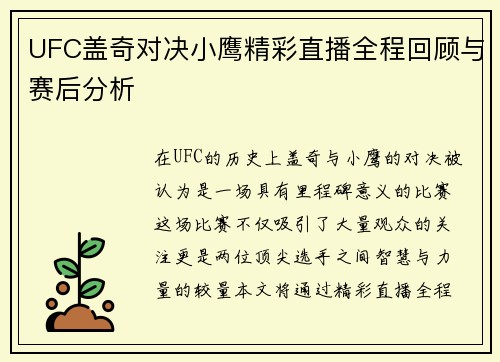 UFC盖奇对决小鹰精彩直播全程回顾与赛后分析